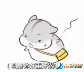 hamham仓鼠表情包1.0完整免费版【无水印】